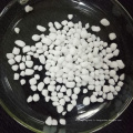 basal pansement fertilisant calcium nitrate d&#39;ammonium